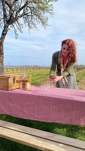 Les visites hippomobiles Bourgoin Cognac