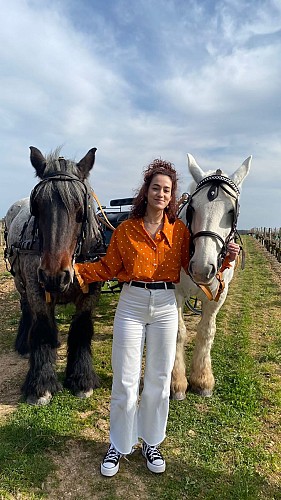 Les visites hippomobiles Bourgoin Cognac