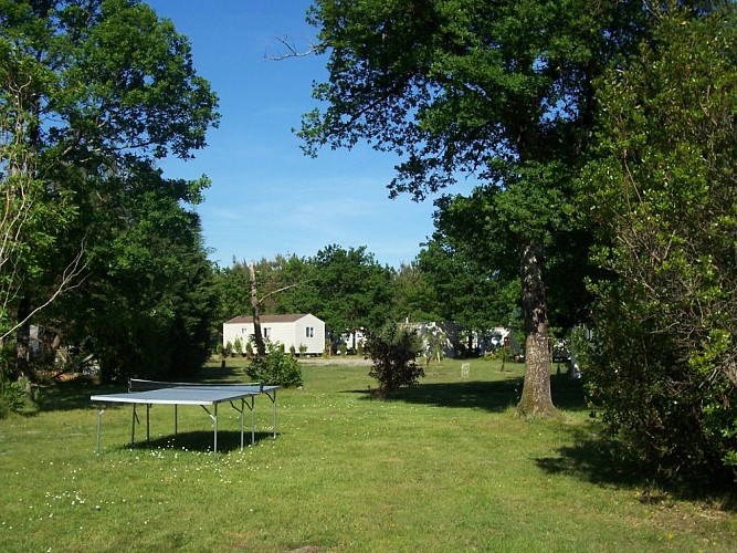Camping La Chrysalide3