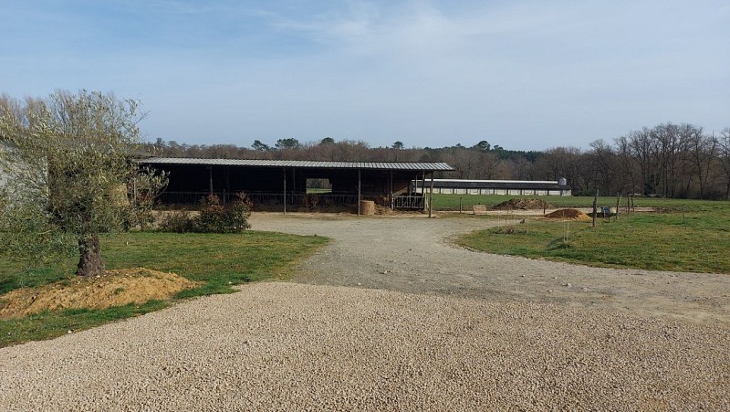 2025 - LABA - Cuisine de Lacoustète - Ferme - ©OT Landes d'Armagnac - MS (1)