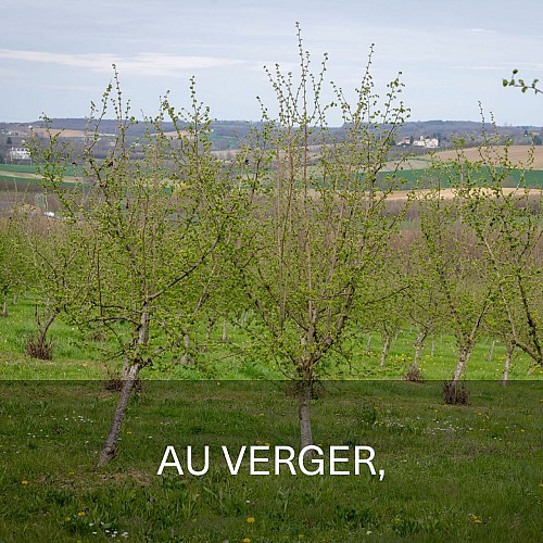 Beaugas - Le casse noisette (verger)