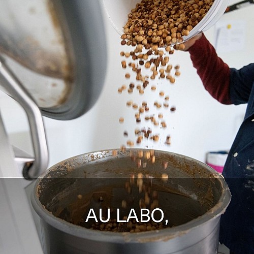 Beaugas - Le casse noisette (labo)