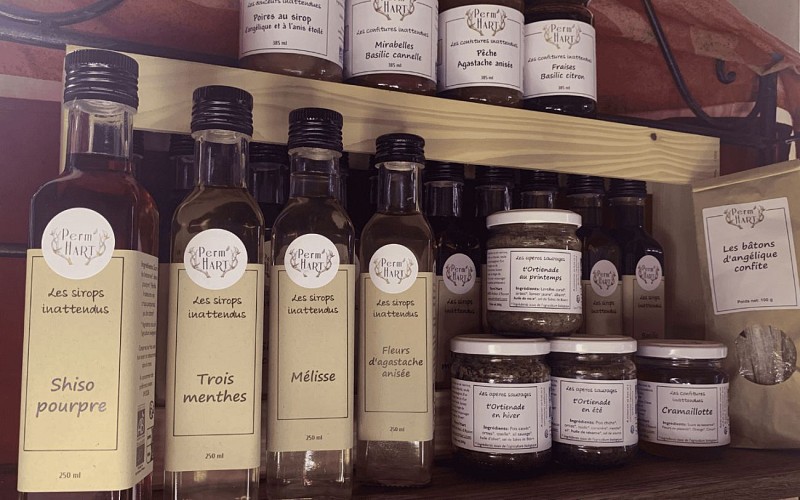 Perm'hart Arthez d'Asson plantes ferme sophie cahuzac  (6)