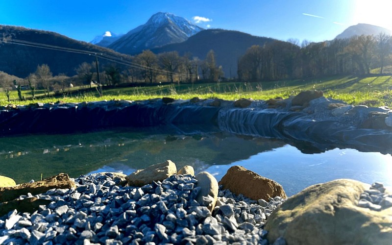 Perm'hart Arthez d'Asson plantes ferme sophie cahuzac 3