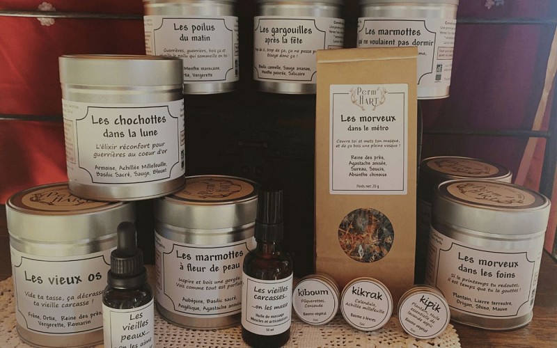 Perm'hart Arthez d'Asson plantes ferme sophie cahuzac 5