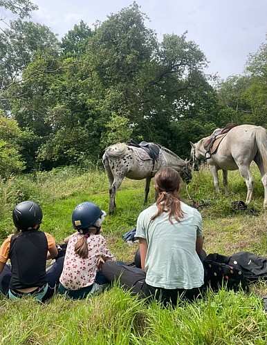 Photo 3 Centre équestre Domaine de Capucine