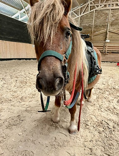 Photo 1 Centre équestre Domaine de Capucine