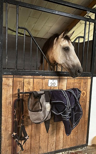 Photo 4 Centre équestre Domaine de Capucine