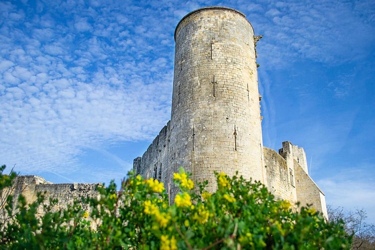 Donjon du Château de Rauzan