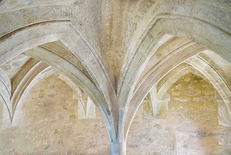 Voûte en palmier du Château de Rauzan