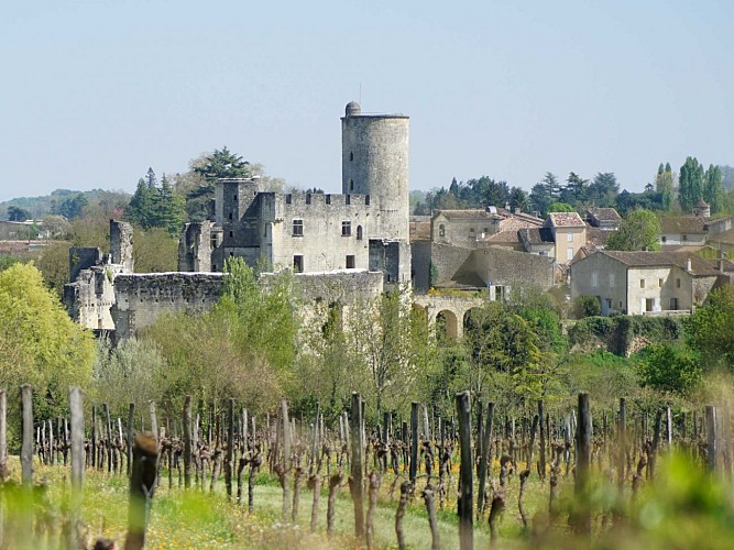Vue du Château de Rauzan depuis les vignes