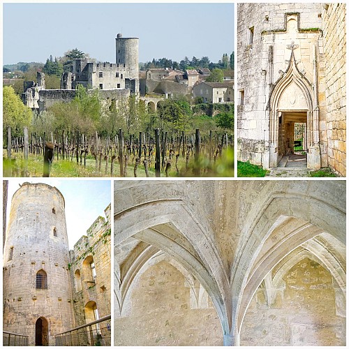 Château de Rauzan guide CDC Castillon 2025