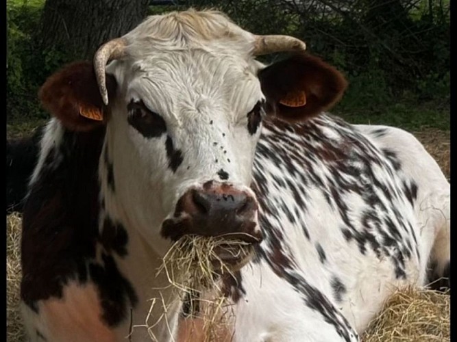 Ferme-pedagogique-Domaine-de-Capucine