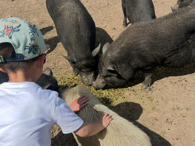 Photo-3-Ferme-pedagogique-Domaine-de-Capucine