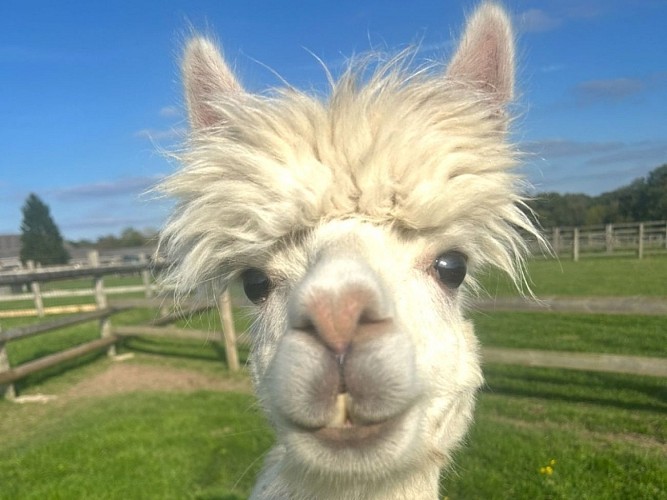 Photo-1-Ferme-pedagogique-Domaine-de-Capucine