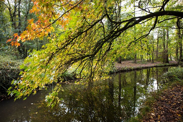Rivière de Gravelle