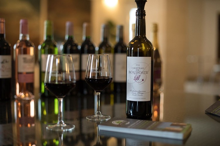 Château de Bonhoste-47