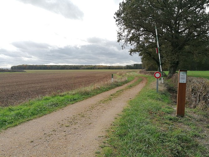 SAINT AMBREUIL LA FERTE1