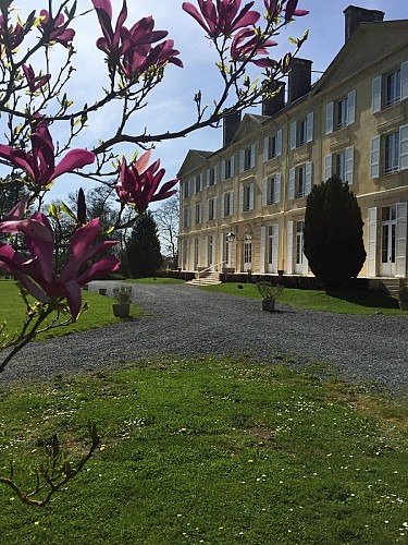 Nouvelle façade château ave fleurs