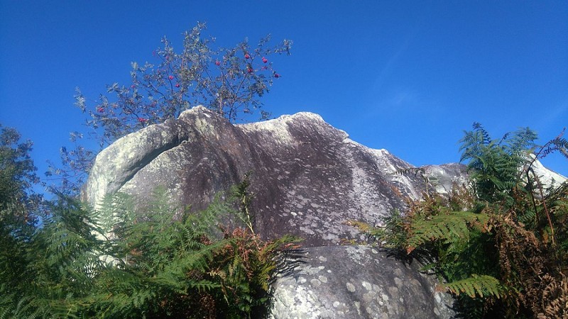 Hottée de Gargantua V