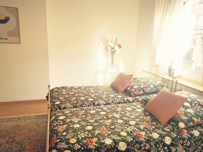 meublé Chez Ninon à Freyming-Merlebach