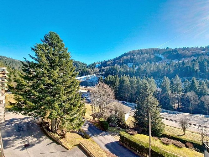 Apartment 4 persons - Nature et Glisse - a stone's throw from the slopes of La Bresse Hohneck