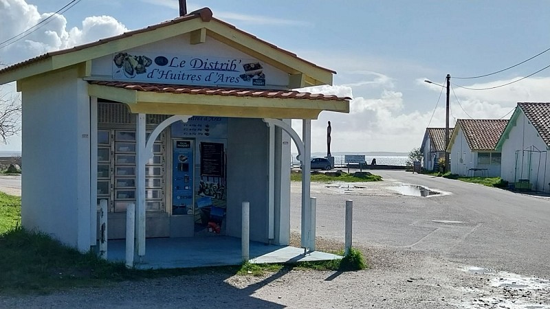 service le distrib'huitres d'Arès @anne laure albo