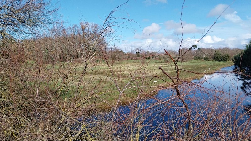 site chemin des lapins@annelaure albo