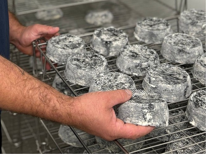 sologne-tourisme-maisonblanche-fromagesrond