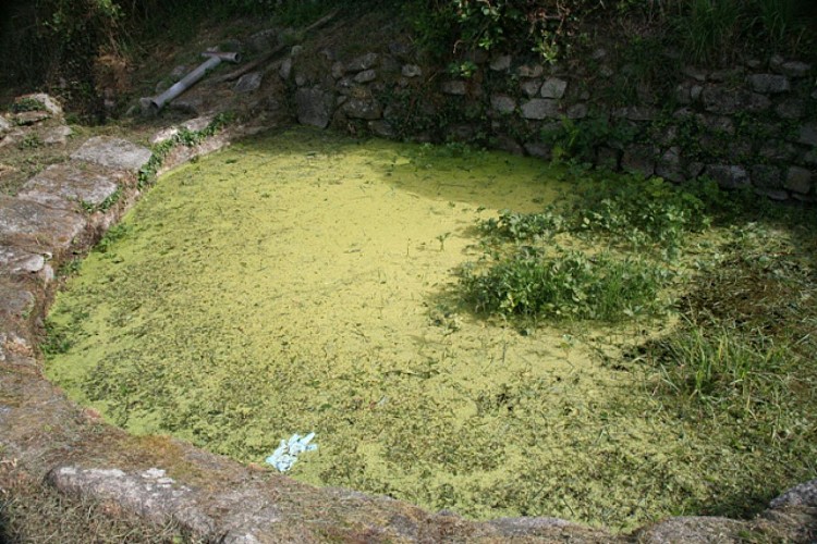 La fontaine et le lavoir du Bourg