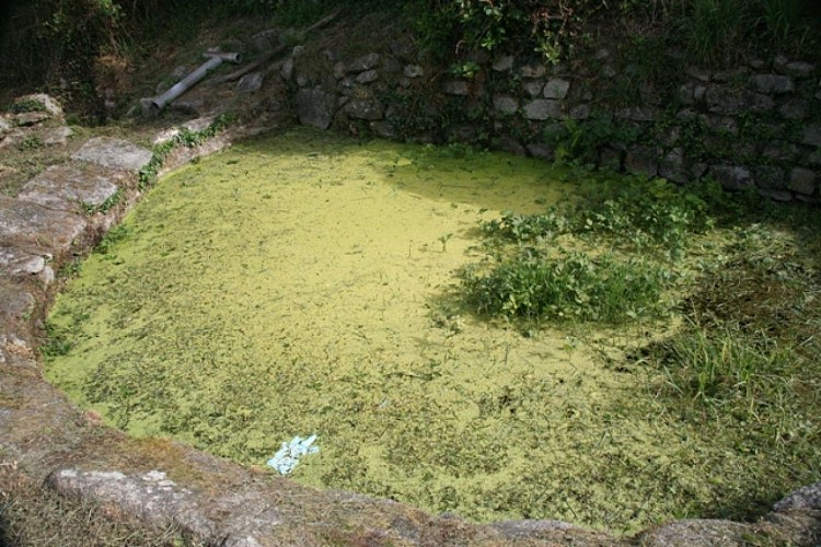 La fontaine et le lavoir du Bourg_1