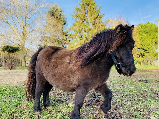 Visites de la Ferme pédagogique Agri'Kids à Jarzé