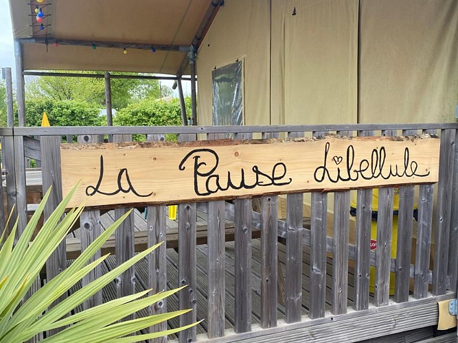 Pause Libellule