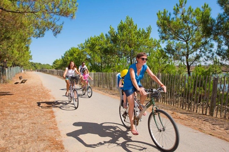 Meublé de l'agence de la Plage 11