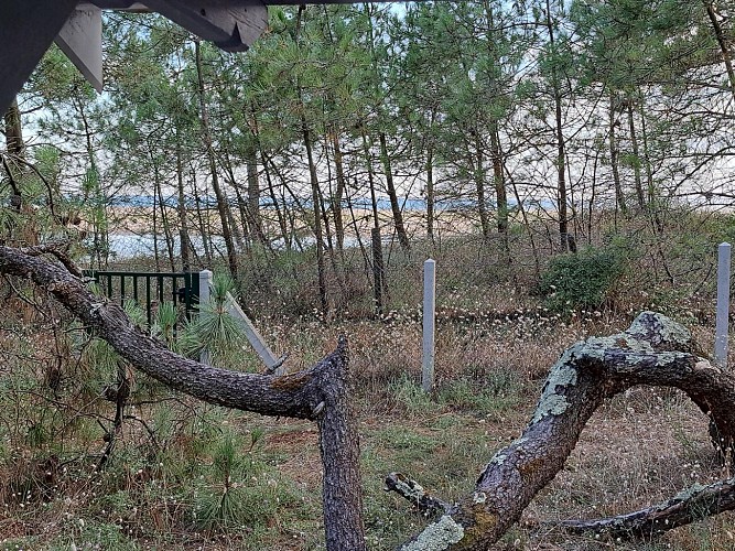 Meublé de l'agence de la Plage 25