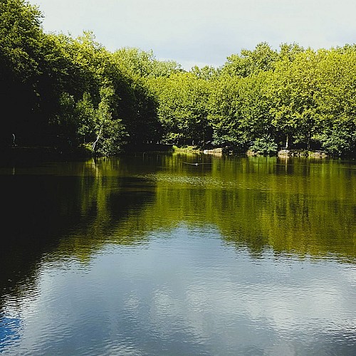 Etang de Trivaux