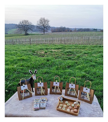 Des vignes et des ânes - les coffrets