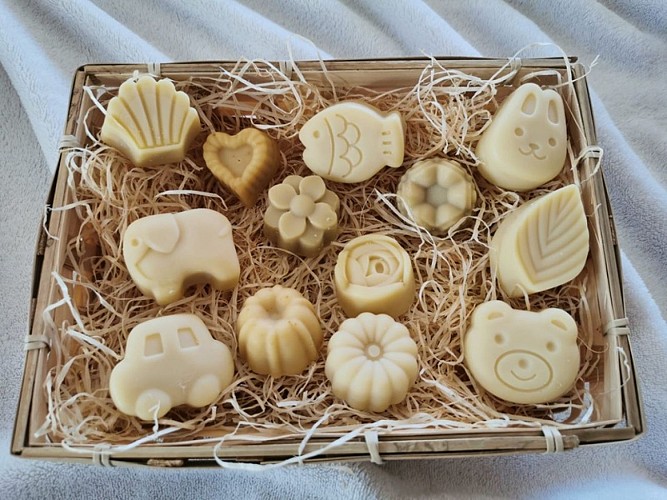 Des vignes et des ânes - minis savons