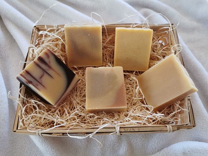 Des vignes et des ânes - savons