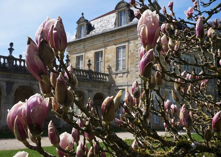 Abbaye de Trois Fontaines