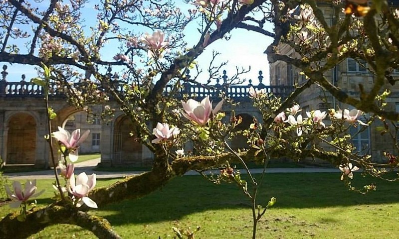 Abbaye de Trois Fontaines