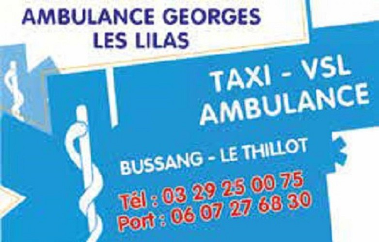 Taxi Georges