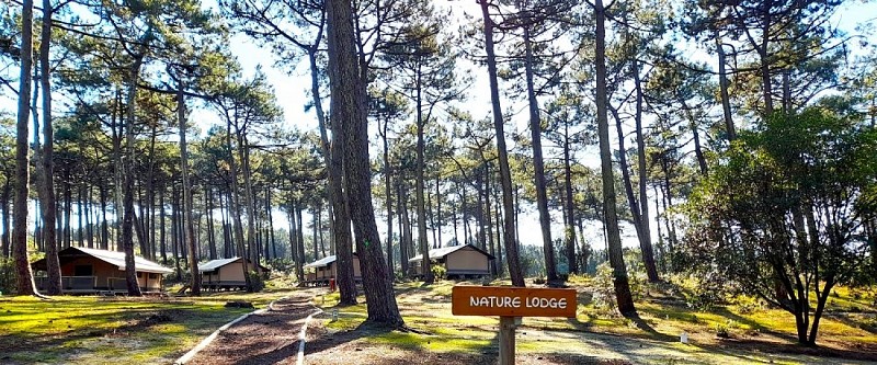 La Grigne - Camping Le Porge Océan (4)