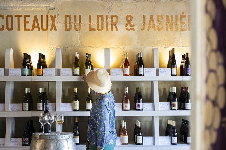 Maison_des_vins_-_2024_-_Pascal_Beltrami_(5)