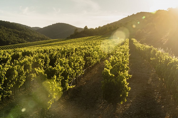 Percorsi naturalistici didattici allo Château Pas du Cerf