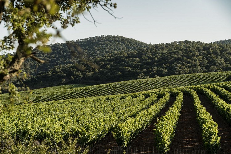 Percorsi naturalistici didattici allo Château Pas du Cerf