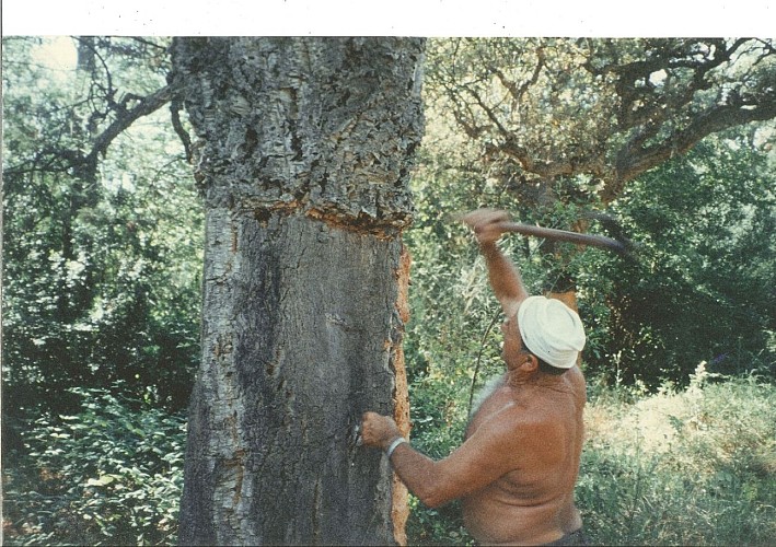 Cabanon di La Cigale