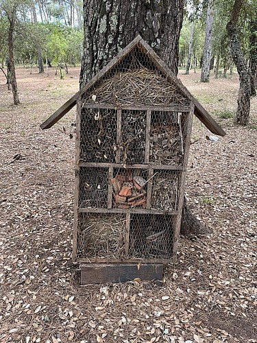 Arboretum von Pierrefeu du Var