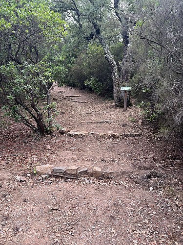 Arboretum de Pierrefeu du Var