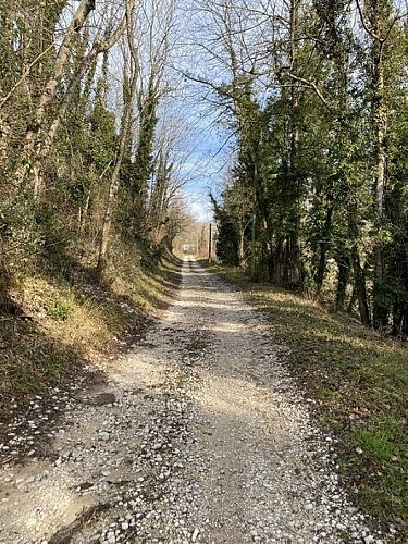 Ancienne voie du tram